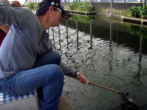 2009-10-12　千葉県/座間養魚場