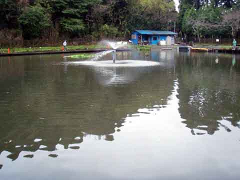 2010-10-31　千葉県/ﾄﾗｳﾄﾎﾟﾝﾄﾞ NOIKE