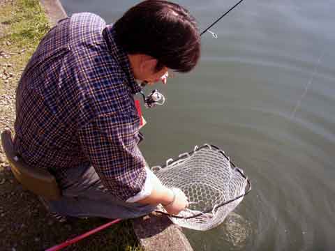 2009-11-09　山梨県/桂川フライ・ルアー釣場