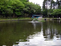 2012-05-04　千葉県/ﾄﾗｳﾄﾎﾟﾝﾄﾞ NOIKE