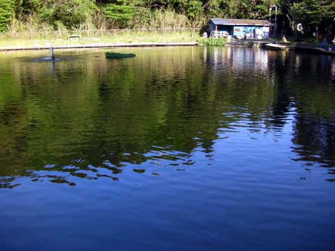 2012-05-05　千葉県/ﾄﾗｳﾄﾎﾟﾝﾄﾞ NOIKE