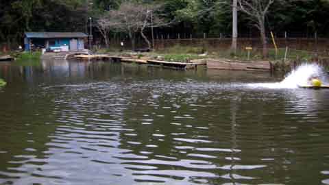 2011-10-01　千葉県/ﾄﾗｳﾄﾎﾟﾝﾄﾞ NOIKE