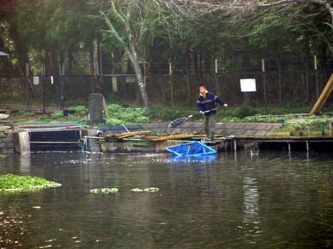 2011-11-05　千葉県/ﾄﾗｳﾄﾎﾟﾝﾄﾞ NOIKE