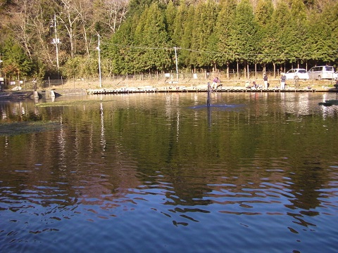 2011-12-30　千葉県/ﾄﾗｳﾄﾎﾟﾝﾄﾞ NOIKE