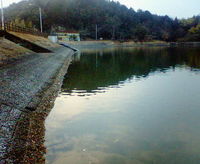 水温調査