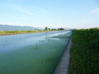 大江川遠征 2008/08/23 03:16:07