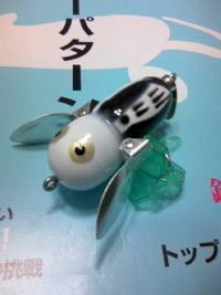 保護しました～(^O^) 2008/08/17 10:25:25