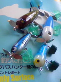 昨日の釣行結果です。 2008/08/19 08:49:16