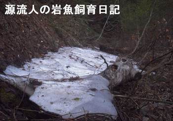 雪解け水の秘密