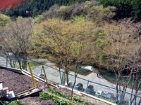 小菅川釣行 (4/24) 2010/04/25 22:44:19