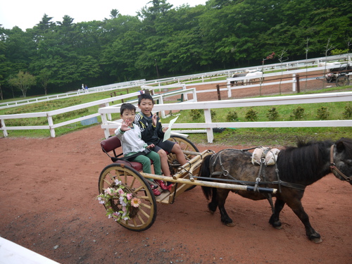 トイフェス2013 　ふもとっぱらキャンプ場