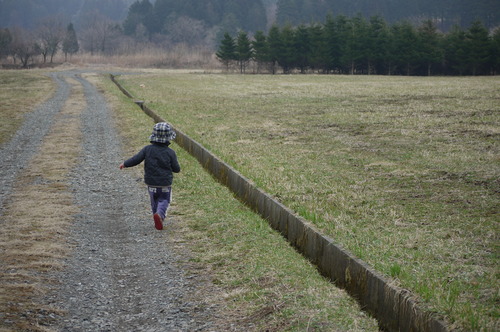 富士山でデイキャンプ