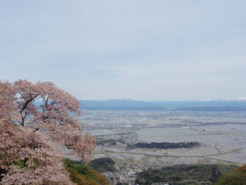 新緑の里山