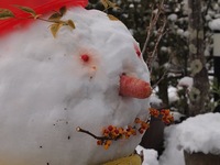 今年も宜しくお願いします。