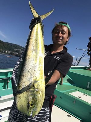 Gannet Fishing Diary 東伊豆シイラ釣行