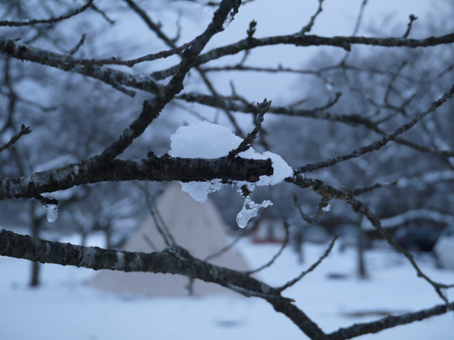 フルコットンが凍る小雪舞う氷点下キャンプ