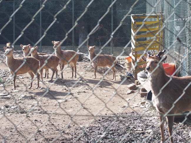 宮城のニューオープン大本命はここ！雄勝FORESTキャンプ場