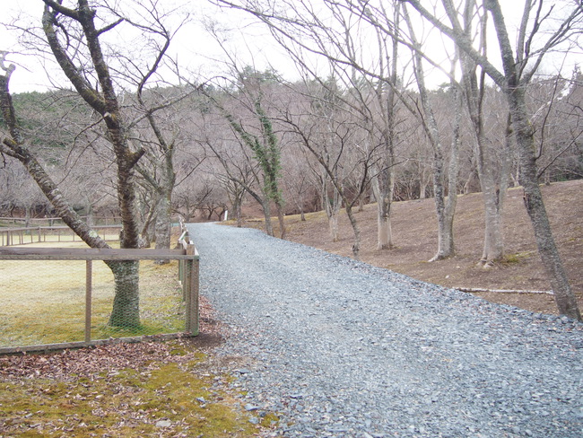 宮城のニューオープン大本命はここ！雄勝FORESTキャンプ場