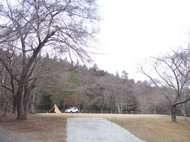 宮城のニューオープン大本命はここ！雄勝FORESTキャンプ場