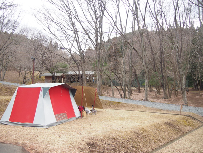 宮城のニューオープン大本命はここ！雄勝FORESTキャンプ場