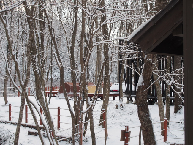 想定外の雪中キャンプ…積んでて良かった防寒具