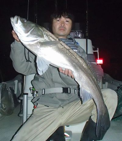 シーバス　～９０