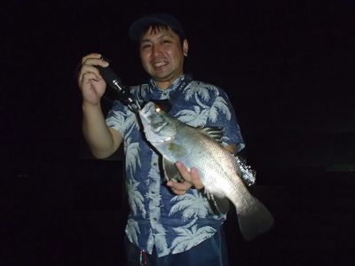 アカメ