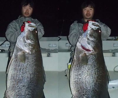 アカメ × ２
