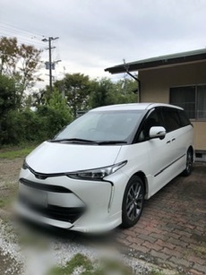 新たな相棒 2020/01/11 06:22:46