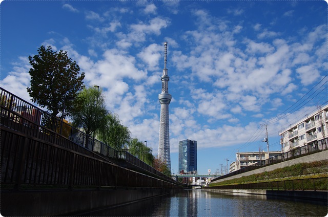 スカイツリー　カヤックツアー（2013年11月30日）　
