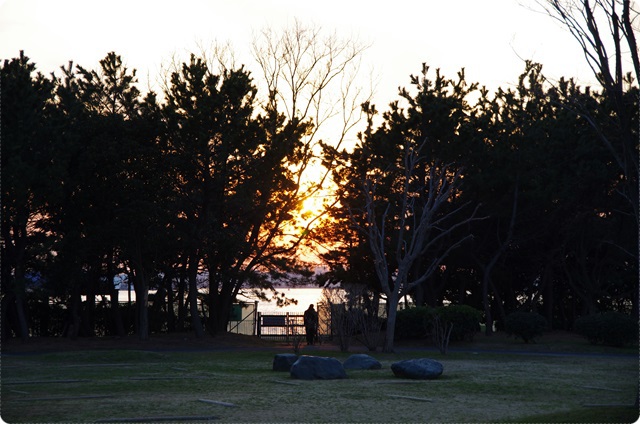 若洲公園でサイクリング　(2014年3月8日）