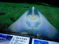 ベストショット 2011/10/05 21:07:42