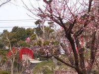 まったりとした休日