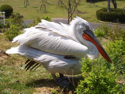 常盤公園に行った