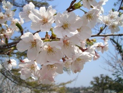 常盤公園に行った