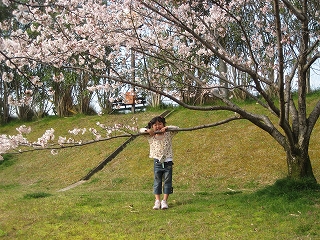 毎日、お花見！