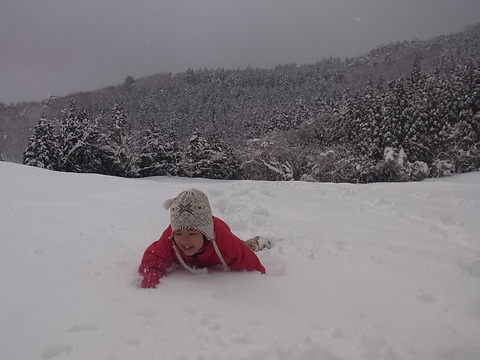 大雪原で