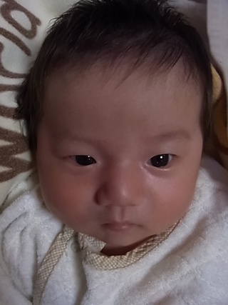 順調に・・・