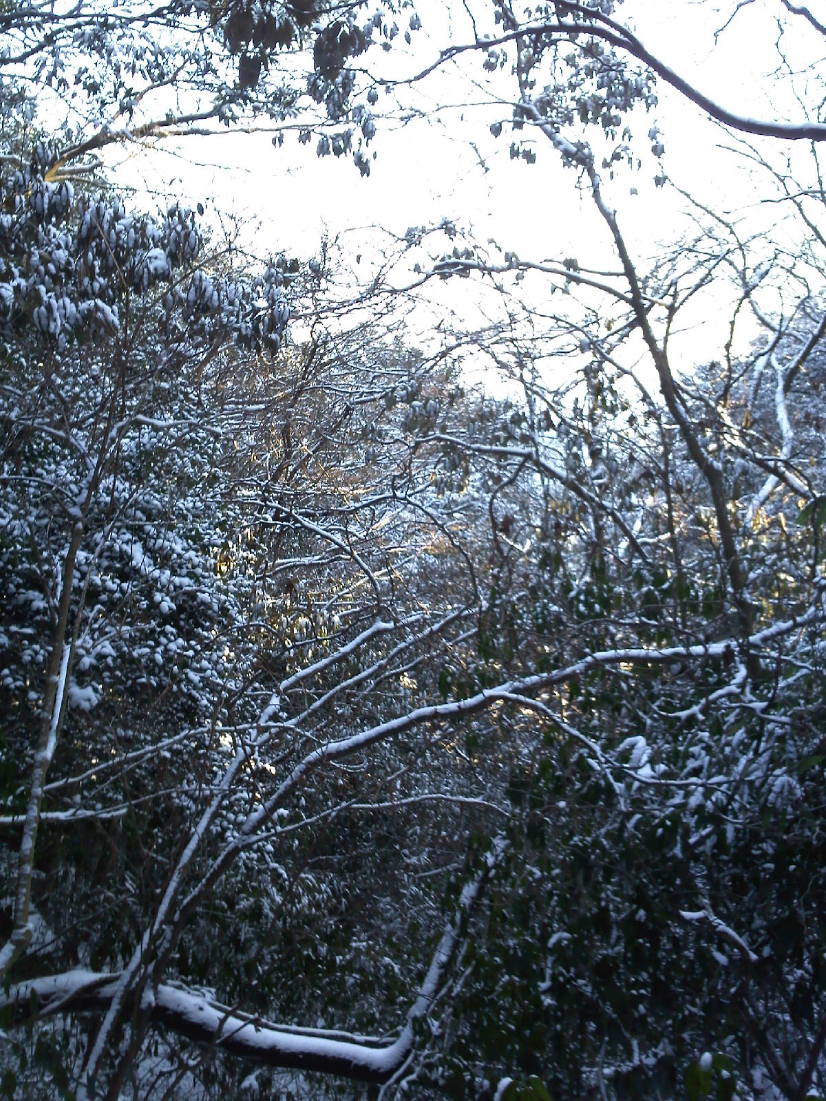 宝満山