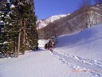 ２月１３日(月）会山行　上越　荒沢山　ラッセル訓練