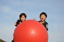 今日は午後から公園へ