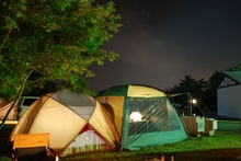 昨年を振り返って　2008年6月