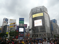 東京へ遊びに行ってきました。