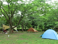 デイキャン＠ママランチ 2011/06/20 14:53:33