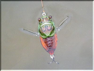 タイ～ホ！