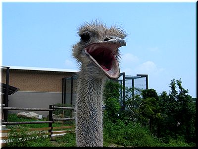 モノより思い出！