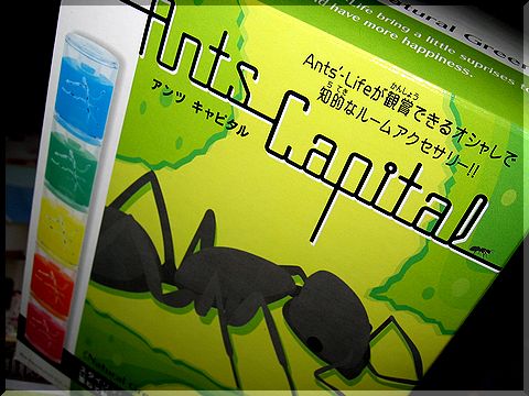 オモチャ