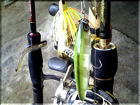 背中の羽を毟る