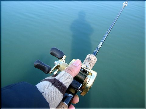 思った通り釣れません。