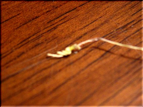 tighten a knot